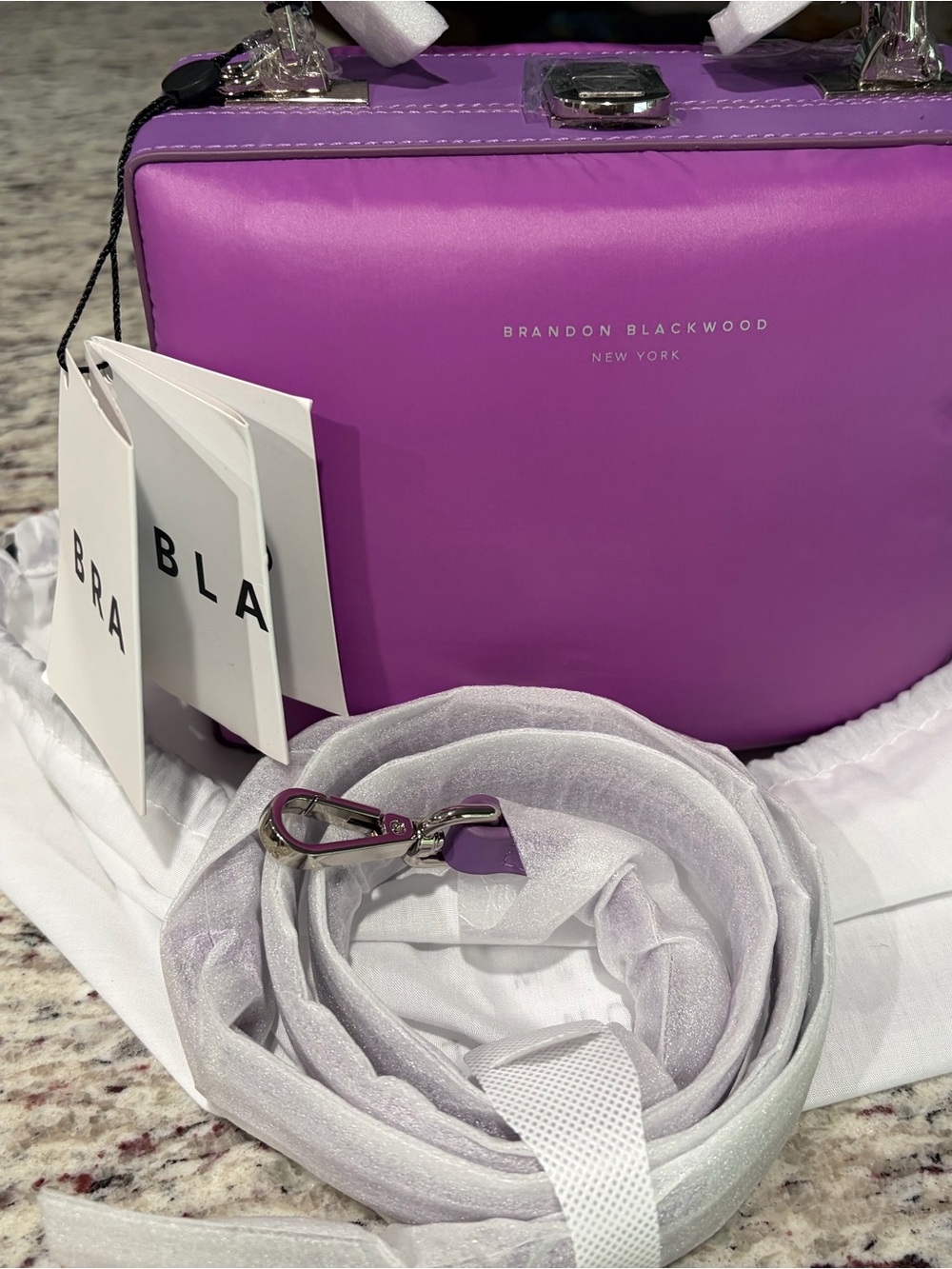Brandon Blackwood Violet Mini Trunk Crossbody Bag